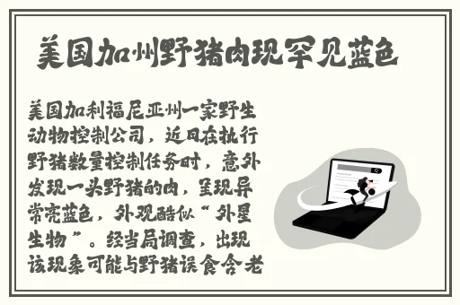 成长视频免费观看