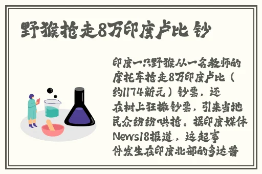 麻豆一二三区AV精品传媒